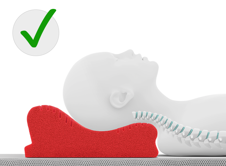 A stylized person is lying on their back on the neck support pillow. The head is positioned so that the lower side of the pillow rests against the neck – the spine shown in the illustration remains naturally curved. Next to it is a green check mark.