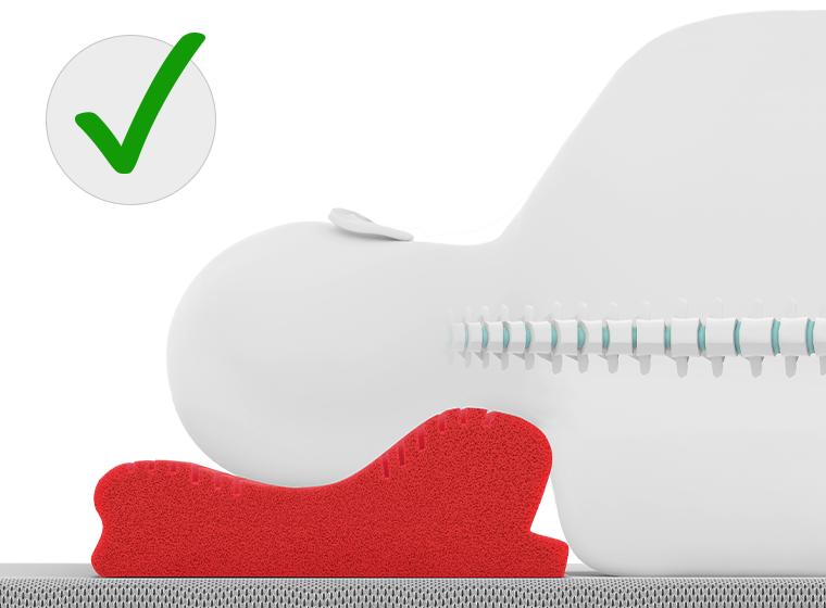A stylized person is lying on their side on the neck support pillow. The head is positioned so that the high side of the pillow rests against the neck – the spine shown in the illustration remains naturally curved. Next to it is a green check mark.