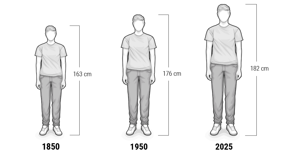 Illustration dreier Personen, von links nach rechts größer werdend. Größenangaben für verschiedene Jahre. 1850: 163 cm. 1950: 176 cm. 2025: 182 cm.