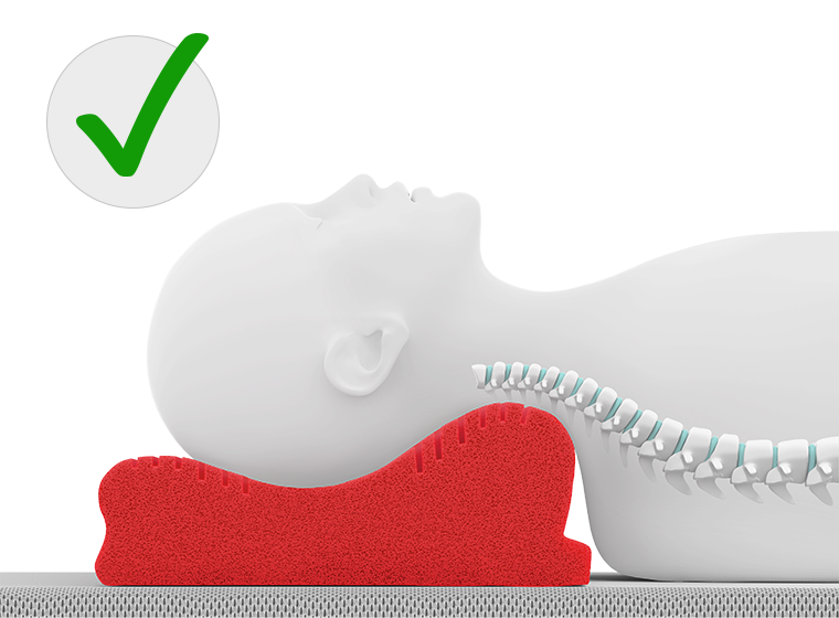 A stylized person is lying on their back on the neck support pillow. The head is positioned so that the high side of the pillow rests against the neck – the spine shown remains naturally curved. Next to it is a green check mark.