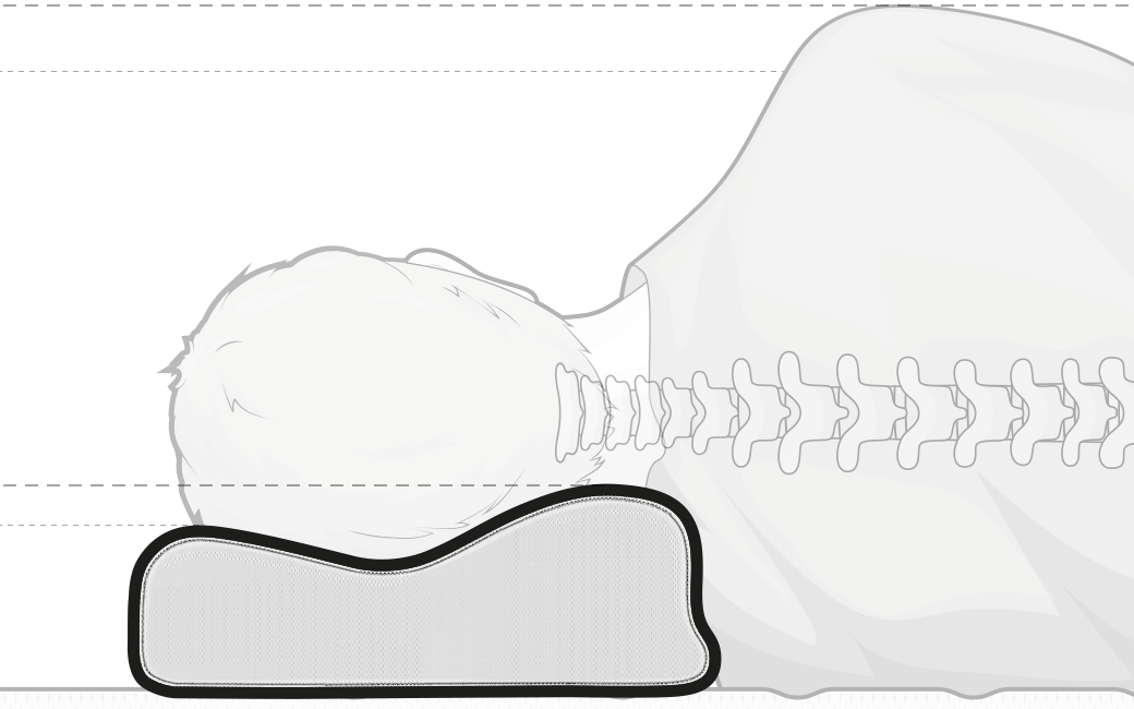 Illustration: A person lying on their side. The head is lying on the neck support pillow so that the higher curvature lies against the neck - the marked spine is straight.	
