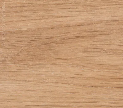Photo: Close-up of beech wood. The natural wood grain is clearly visible.