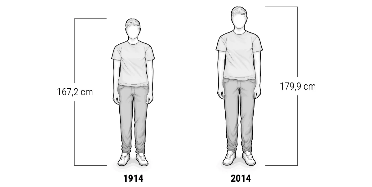 Illustration of two people of different heights next to each other: the person on the left is marked with the height 167.2 cm and the year 1914, the person on the right with 179.9 cm and 2014.