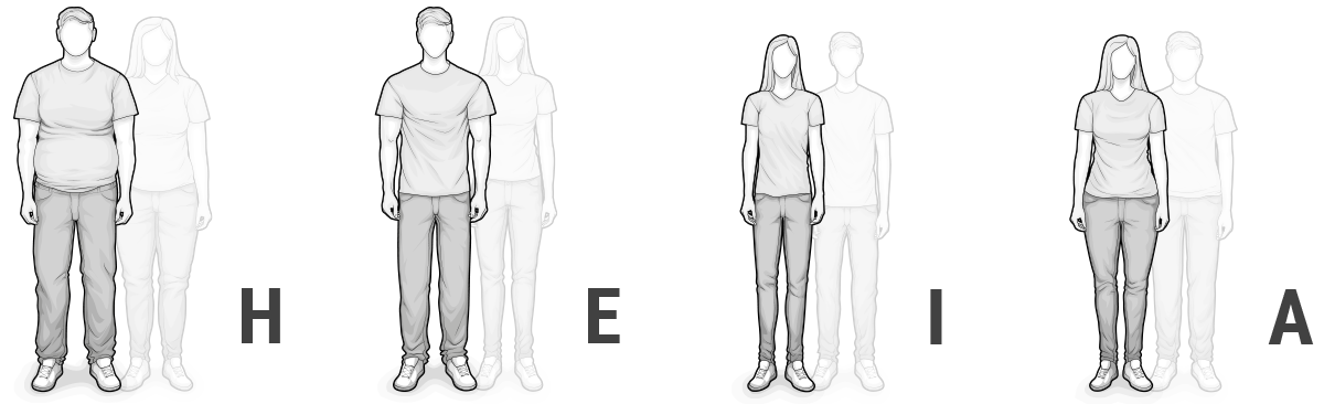 Illustration of the HEIA types: Next to the letters H, E, I and A, a person of the prototypical gender is shown, with the body type with the same body centre of gravity but opposite gender next to it.