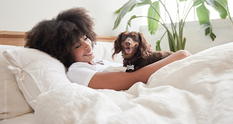 Eine Person liegt lächelnd im Bett und blickt auf einen Hund, der auf ihr liegt.