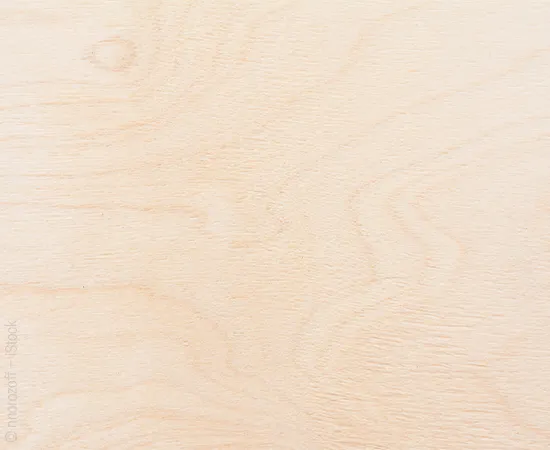 Image: Close-up of the wood type oak with light grain.