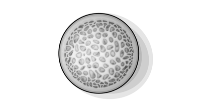 Illustration of the foam pores in a moulded foam mattress