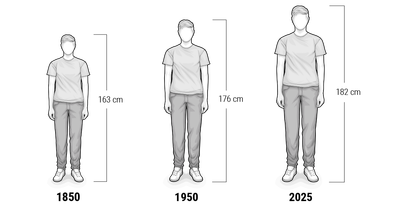 Illustration dreier Personen, von links nach rechts größer werdend. Größenangaben für verschiedene Jahre. 1850: 163 cm. 1950: 176 cm. 2025: 182 cm.