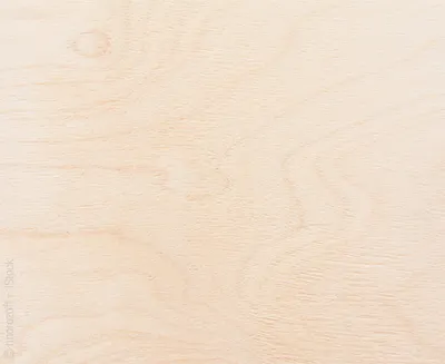 Close-up of light-grained birch wood