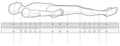 Illustration: Cross-section of the QXSchaum mattress core, with a person floating above it.